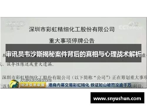审讯员韦沙斯揭秘案件背后的真相与心理战术解析