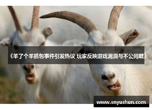 《羊了个羊抓包事件引发热议 玩家反映游戏漏洞与不公问题》