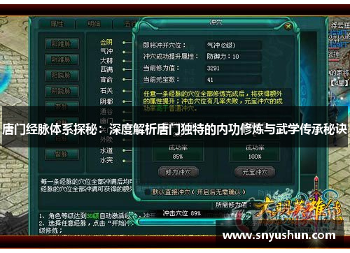 唐门经脉体系探秘:深度解析唐门独特的内功修炼与武学传承秘诀