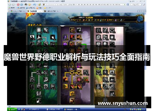 魔兽世界野德职业解析与玩法技巧全面指南